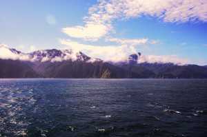 FIORDLAND-NATIONAL-PARK-2019 (203)
